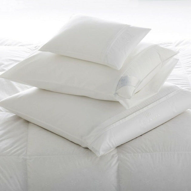 A Pillow Protector A Pillow Protector