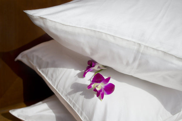 Travel Products - Silk Story PillowMate