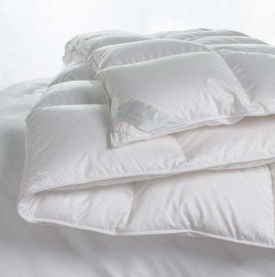 Down 101: Cozy Comforters from Scandia