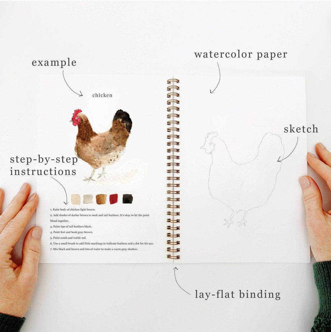 Animals watercolor workbook emily lex studio 