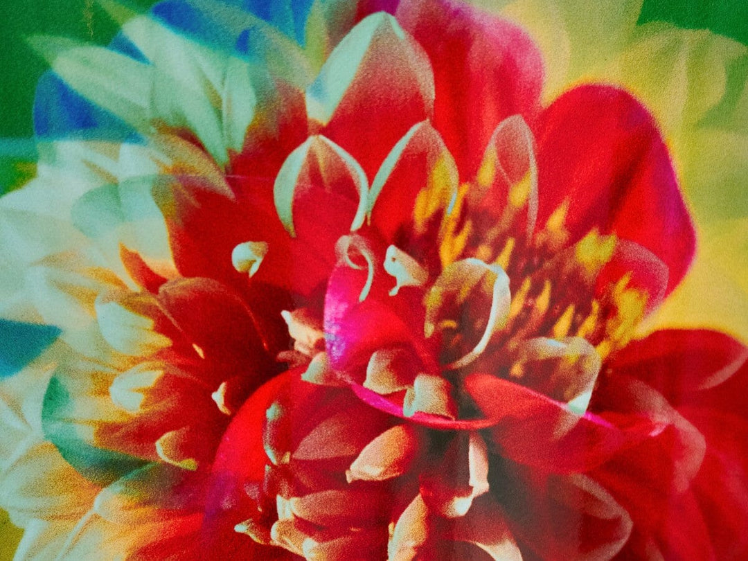 Candle Arty Flowers Candle Baobab 