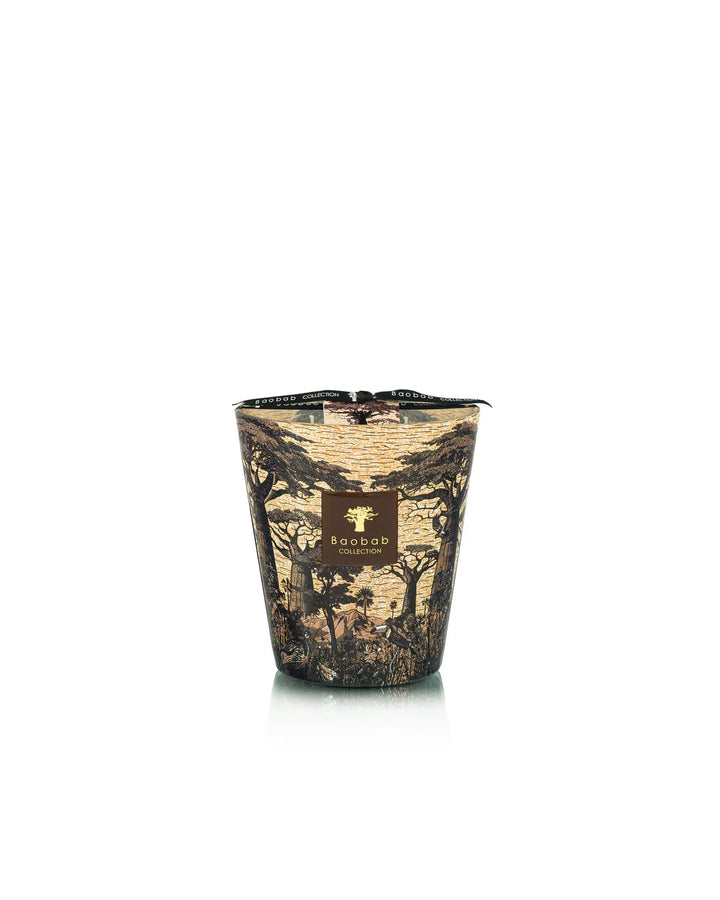 Candle Sacred Trees Mankono Candle Baobab 16 