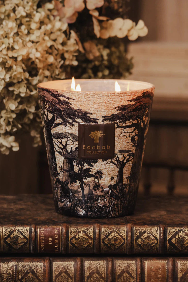 Candle Sacred Trees Mankono Candle Baobab 