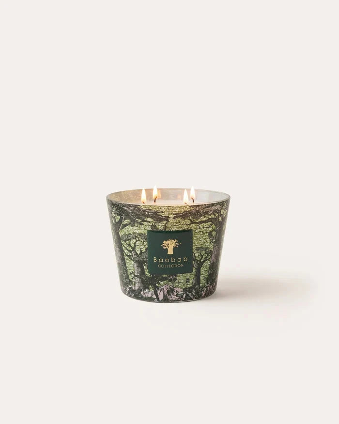 Candle Sacred Trees Touba Candle Baobab 10 