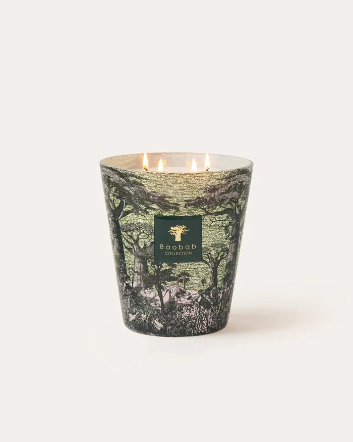 Candle Sacred Trees Touba Candle Baobab 16 