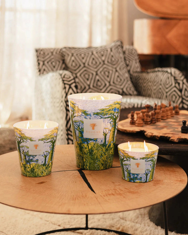 Candle Sacred Trees Yarani Candle Baobab 