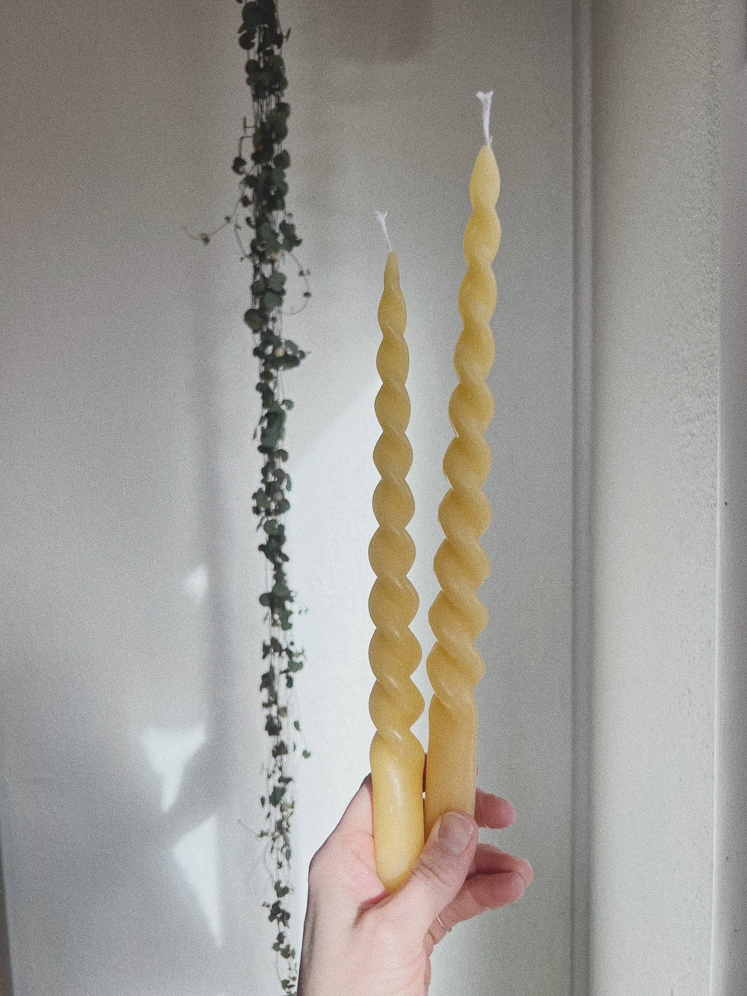 Extra long spiral taper candles Whiskey + Wine 
