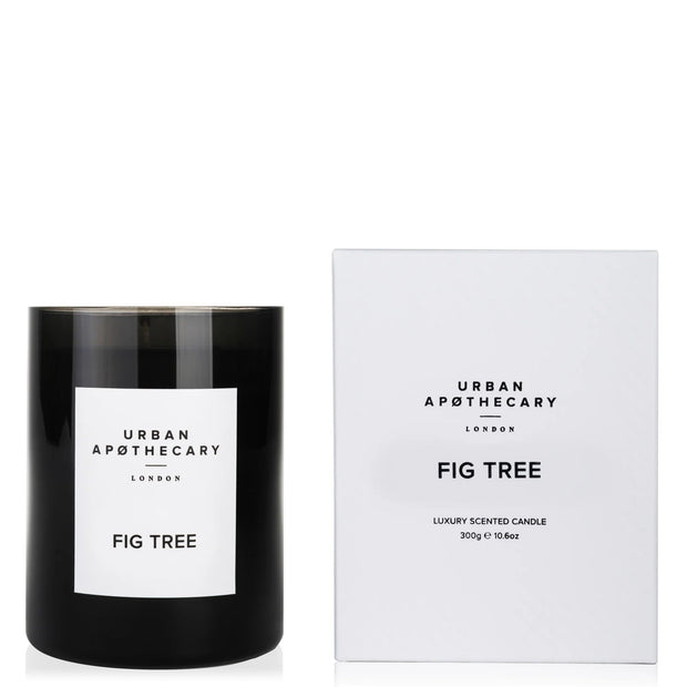 Fig Tree Candle 300g Candle CIE Luxe 