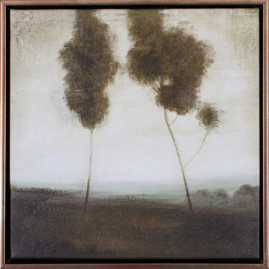 Julian I Art Shadow Catchers 