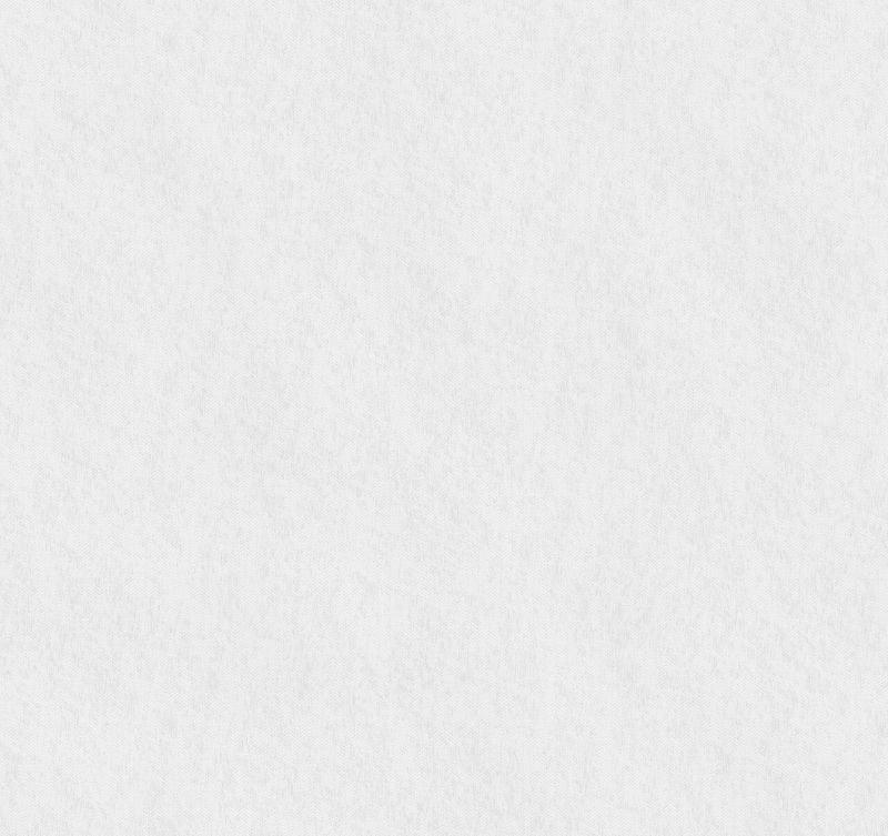 Leitner Tratten Linen Grand Euro Pillow with Insert SDH Weib 