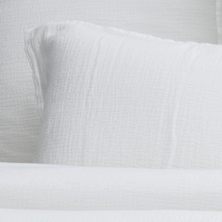 Waverly Cotton Big Pillow- 28"x 36" Bedding Style Pom Pom at Home 