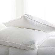 Down Alternative - Bergen Down-Free Standard Pillow