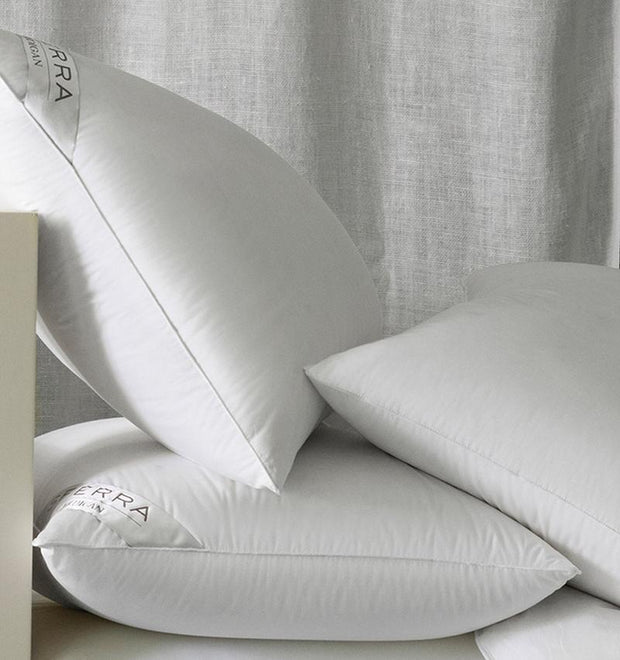 Down Product - Cardigan Standard Pillow
