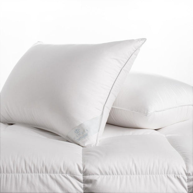 Chamonix King Pillow Down Product Scandia 