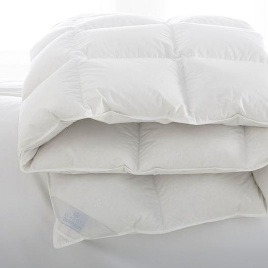 Down Product - Copenhagen King Comforter