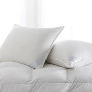 Down Product - Copenhagen King Pillow