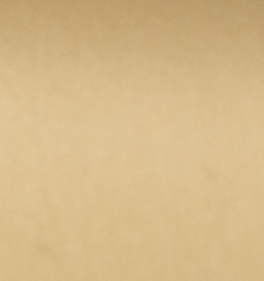 Bedding Style - Giotto King Pillowcases - Pair