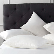 Down Product - Libero Standard Pillow
