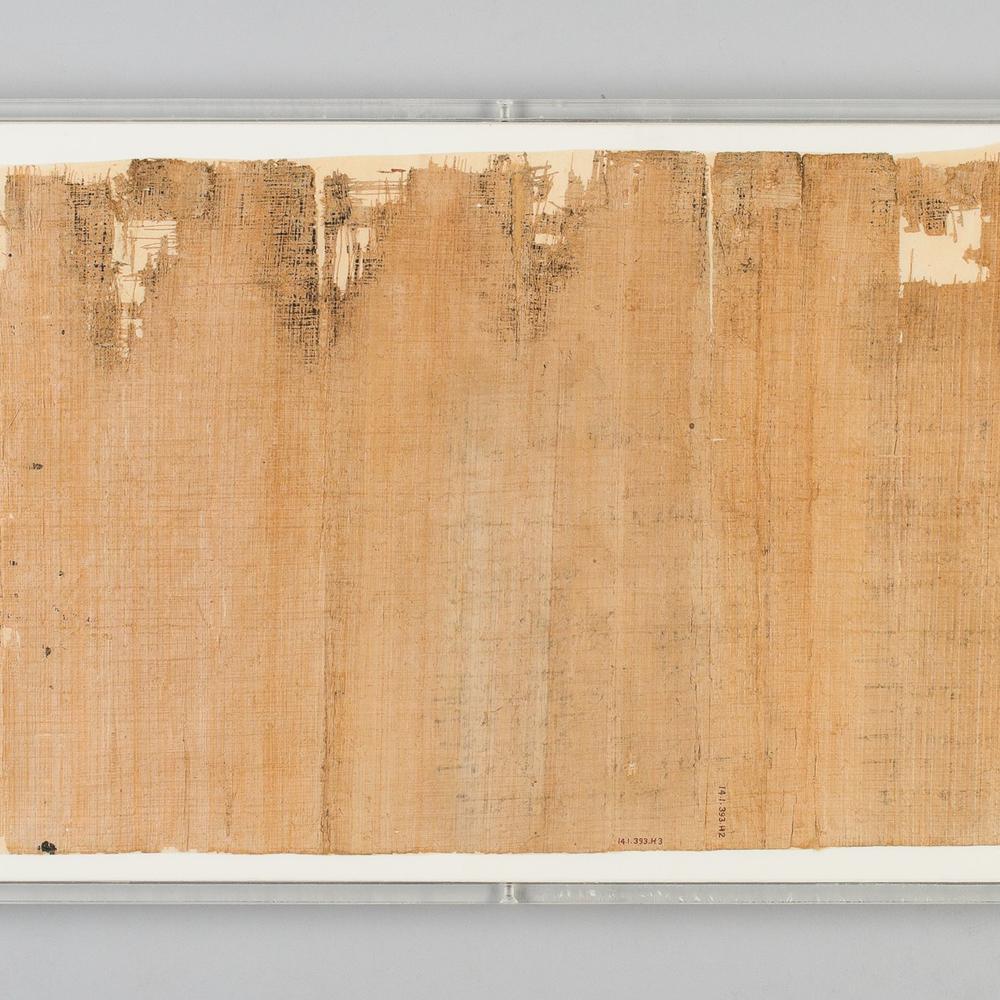 Papyrus Pillow- 24x24 Bedding Style Ann Gish 