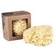 Sponge Wool Boxed - Large Body Care Baudelaire 