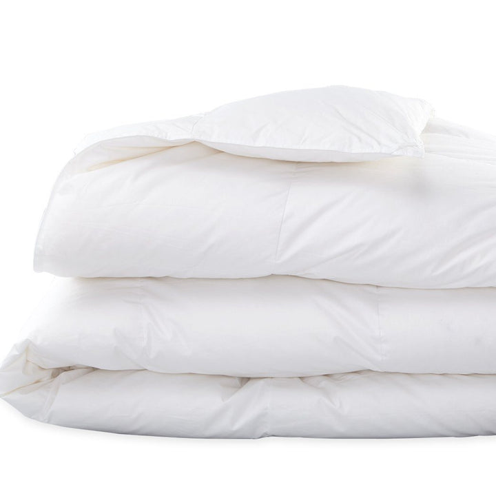 Down Product - Valletto Queen Down Comforter