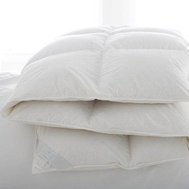 Down Product - Vienna King Comforter