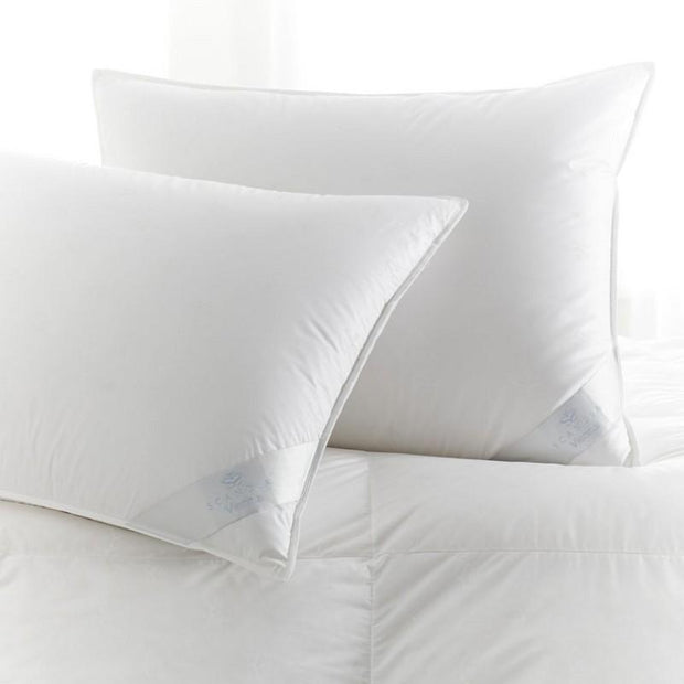 Down Product - Vienna Standard Pillow